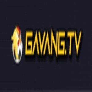 gavangtvllc2