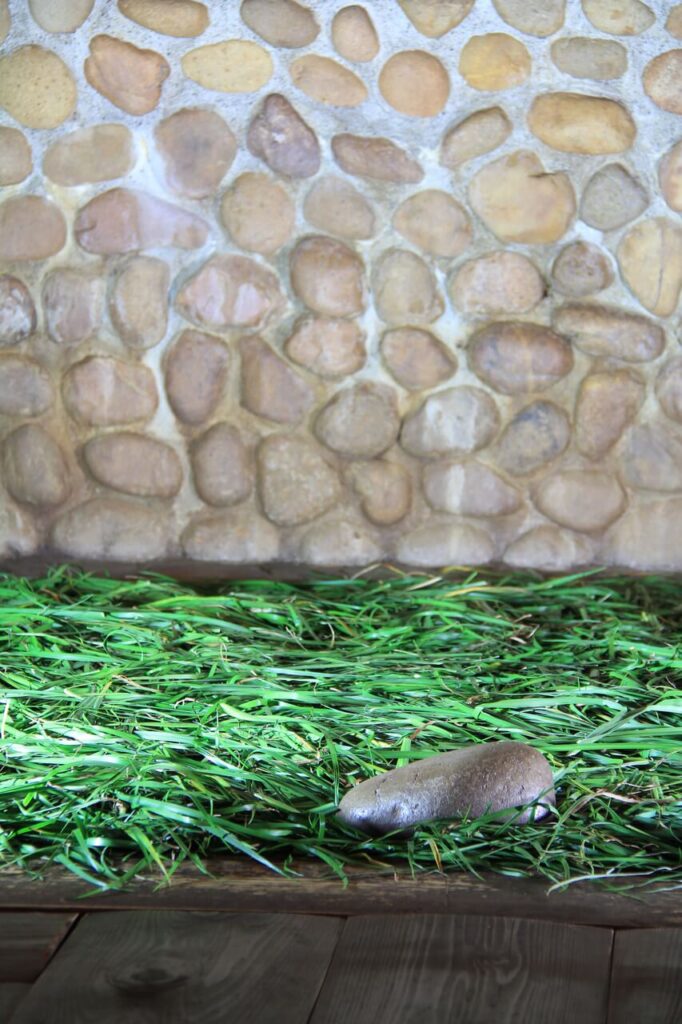 別府・鉄輪むし湯の内部|石菖が敷かれた蒸し湯空間と石の壁