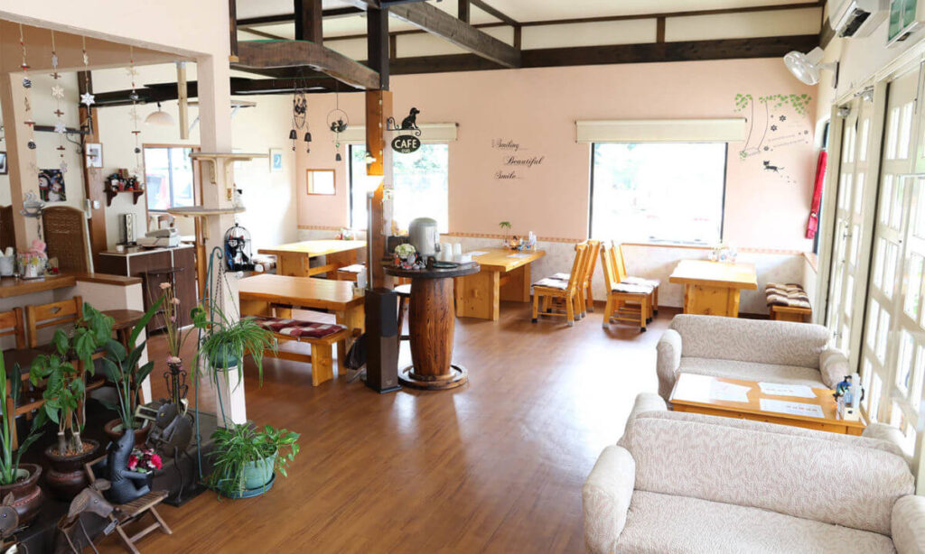 木のぬくもりを感じるCafe Duoの店内(湯布院)