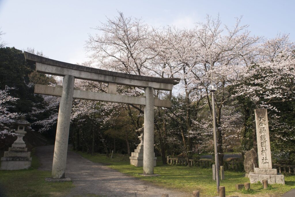 大分県大分市にある護国神社の鳥居と桜の木