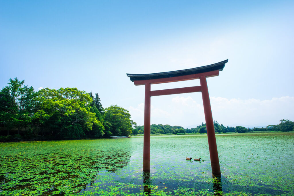 薦神社の三角池に映る鳥居|中津市の歴史ある八幡信仰の神社