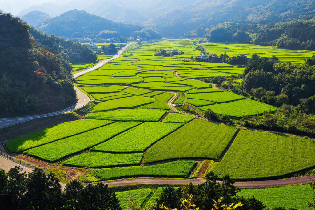 大分県豊後高田市の田園風景
