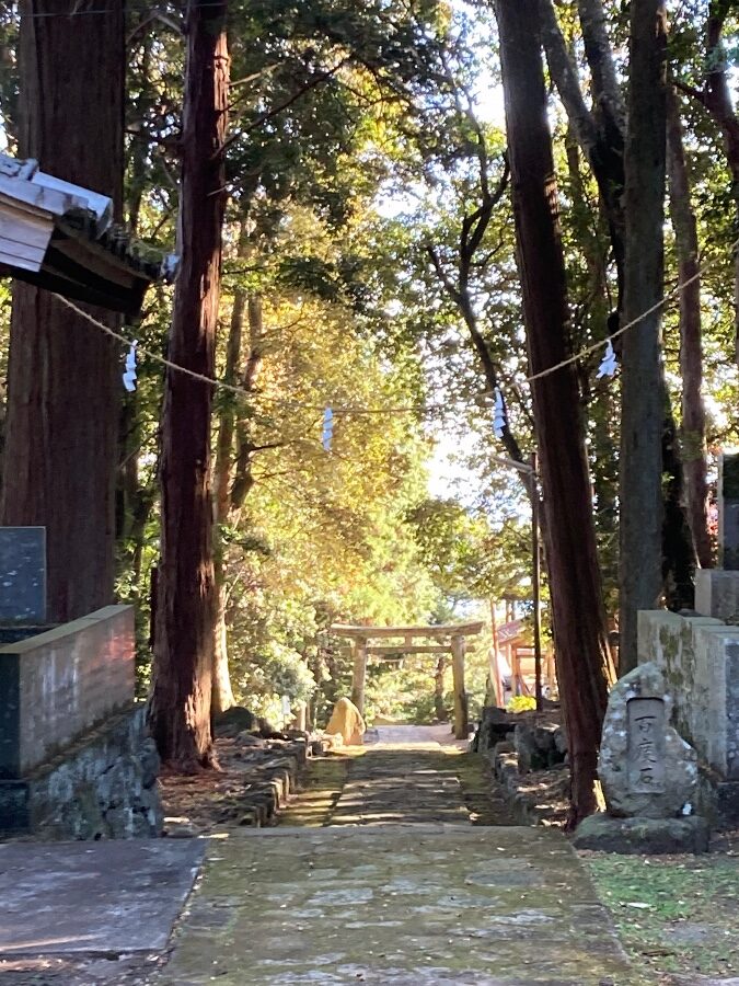 参道から望む鳥居遠景(大分県速見郡日出町豊岡)