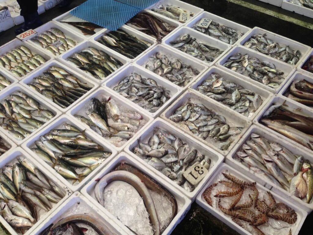 地元で水揚げされた魚が発泡スチロールに並ぶ様子(イメージ)