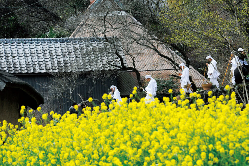 .国東市・国東半島の菜の花畑と修行僧