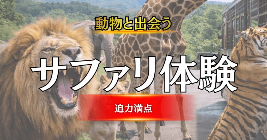 アフリカンサファリ大分の見どころ完全ガイドのアイキャッチ画像（ジャングルバスとライオン、トラ、キリン）