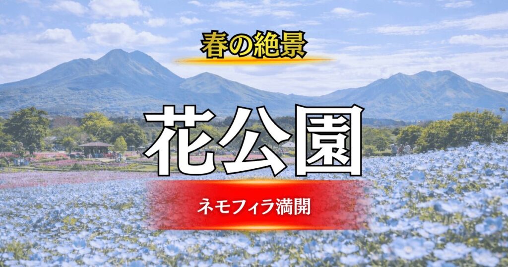 くじゅう花公園の広大でカラフルな春の花畑（チューリップとネモフィラ）と山並みの絶景