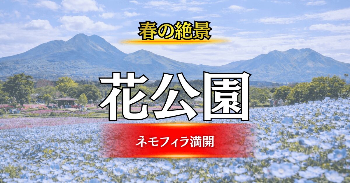 くじゅう花公園の広大でカラフルな春の花畑(チューリップとネモフィラ)と山並みの絶景