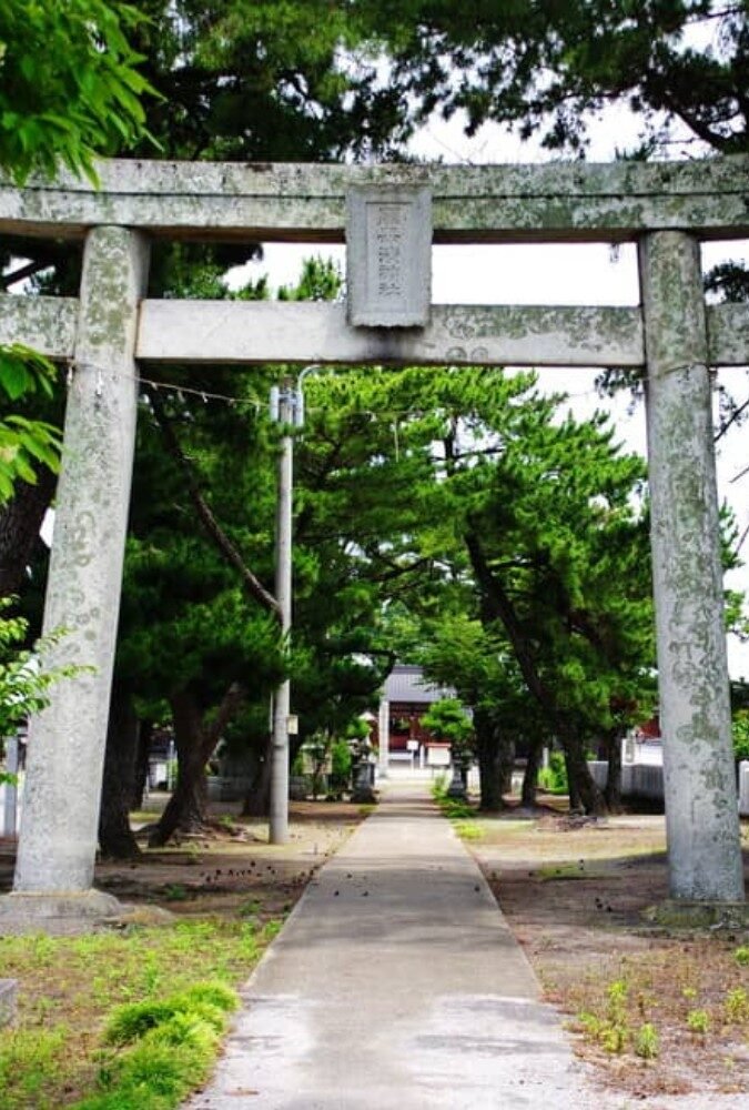 闇無濱神社の石造鳥居と松並木が続く参道