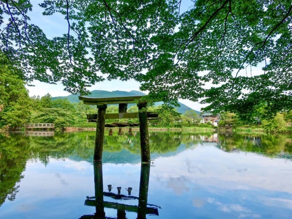 夏の金鱗湖に浮かぶ神秘的な鳥居の風景