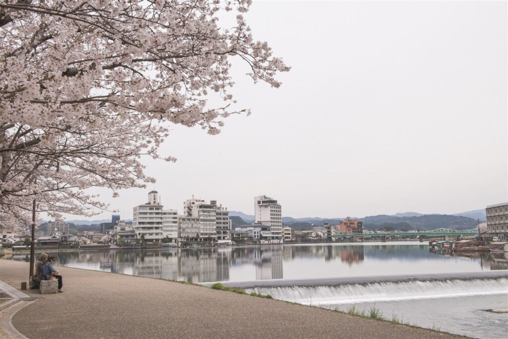 進撃の巨人の原点である作者・諫山創氏の故郷、春の桜が美しく咲く大分県日田市の三隈川