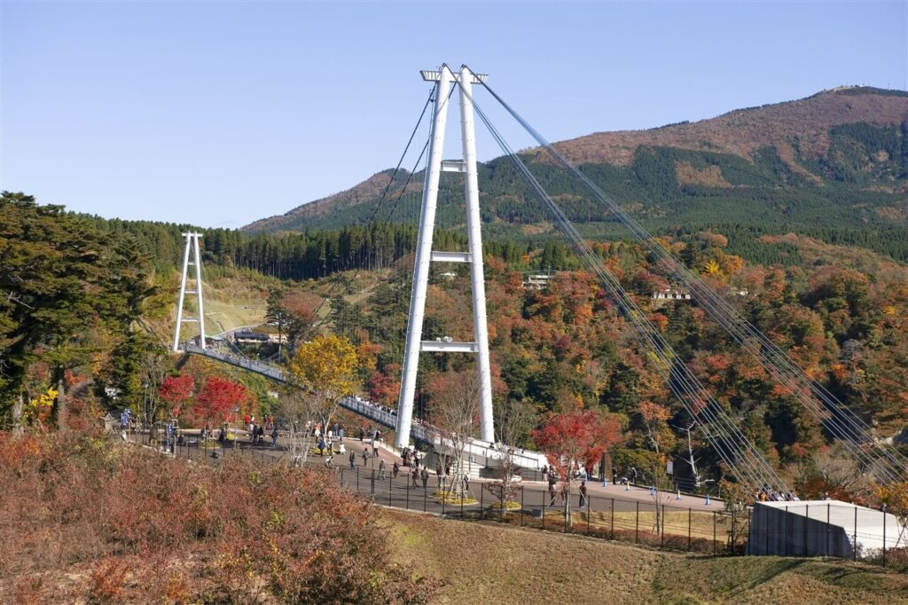 秋の紅葉シーズンに美しい鳴子川渓谷に架かる、長さ390mの九重“夢”大吊橋の引きの景観