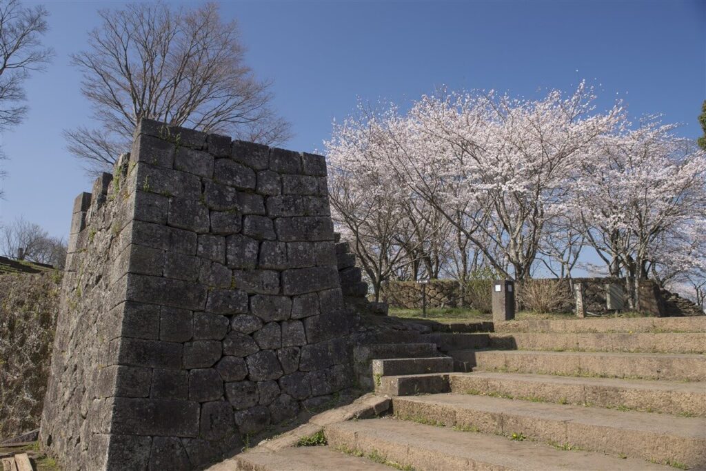 歴史好きにおすすめな、高く積まれた圧倒的なスケールの石垣と階段に春の桜が美しく映える岡城跡