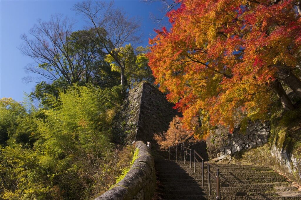 歴史と絶景を歩く大分観光の締めくくりにふさわしい、澄んだ青空と鮮やかな紅葉が映える岡城跡の階段