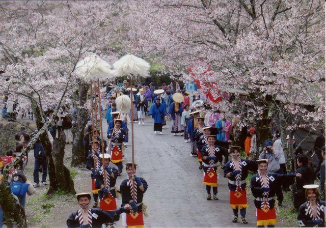 期間限定の無料登城バスも運行される春のイベント、多くの人で賑わう岡城桜まつりの様子
