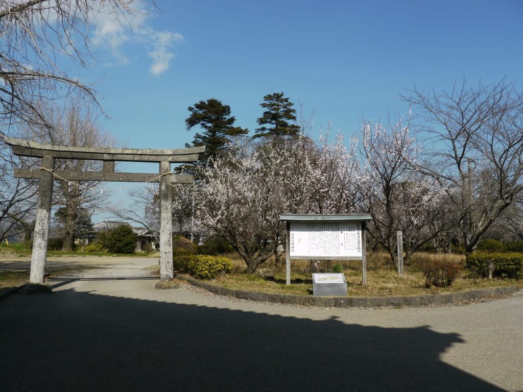 GWの春ドライブで訪れたい、歴史ある大友宗麟ゆかりの臼杵城跡に立つ鳥居と満開の桜