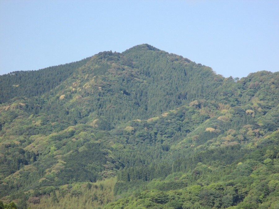 大分市の本宮山(ほんぐうさん)山頂付近の様子