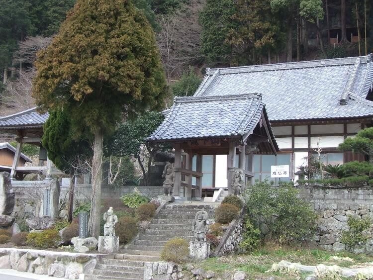 成仏寺の山門と石段、両脇に立つ石造の仁王像