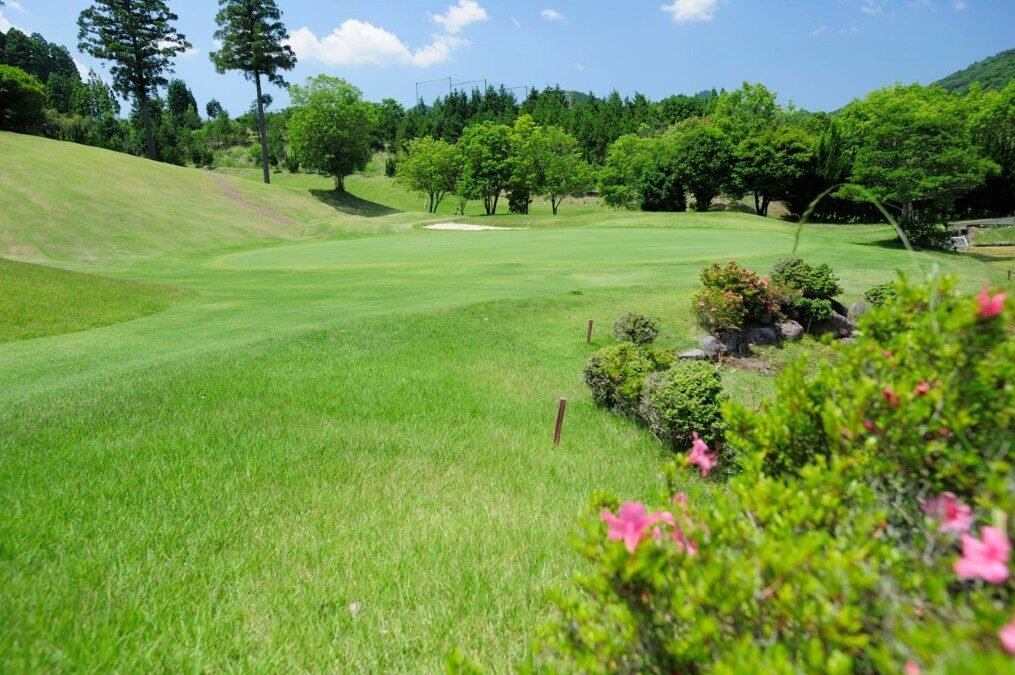 直川カントリー倶楽部のフェアウェイとグリーン。手前にツツジの花、奥には青空と山の木々が広がる初夏の景色