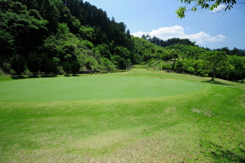 直川カントリー倶楽部のフェアウェイ。谷筋に沿って広がる緑のコースと、奥にピンが見えるグリーン周辺の景観