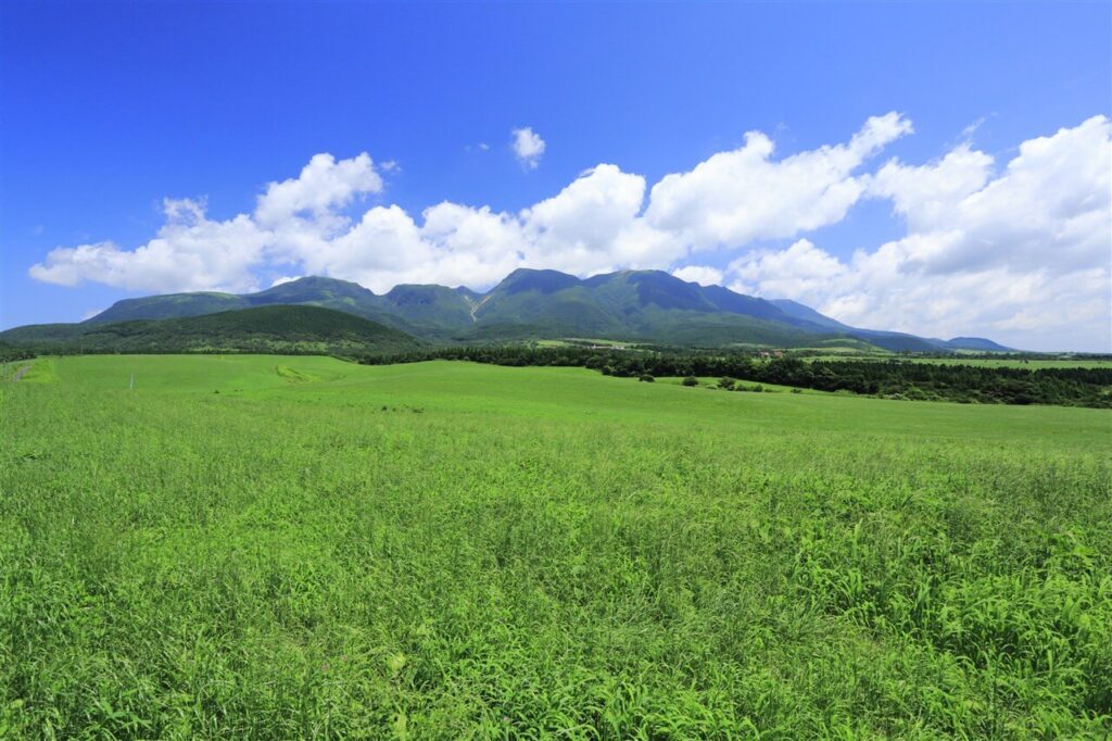 竹田市・久住高原の新緑