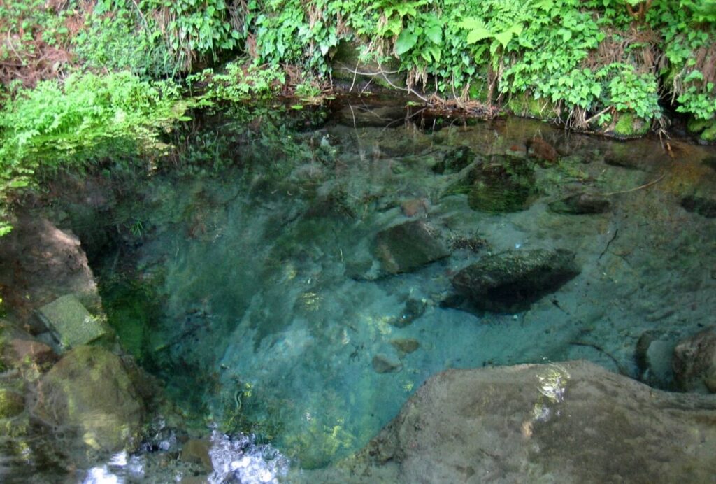 男池湧水群の澄んだ水面