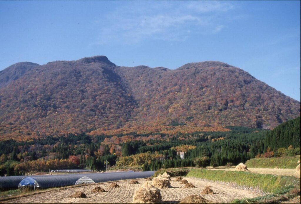 秋の男池湧水群。原生林と紅葉が美しい、大分を代表する自然散策スポット