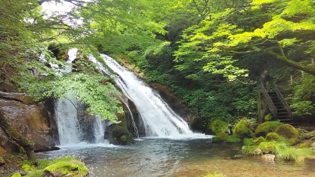 男池湧水群の滝。涼やかな水音と緑が心地よい夏の避暑風景