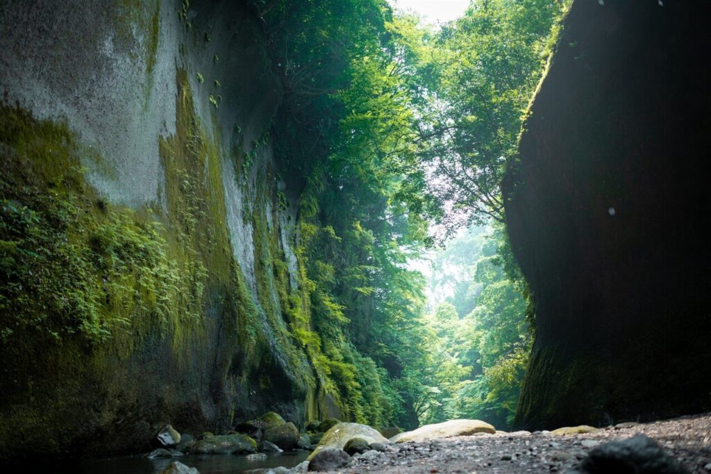 緑豊かな絶壁が続く由布川峡谷。真夏でもひんやりと涼しい自然の避暑地