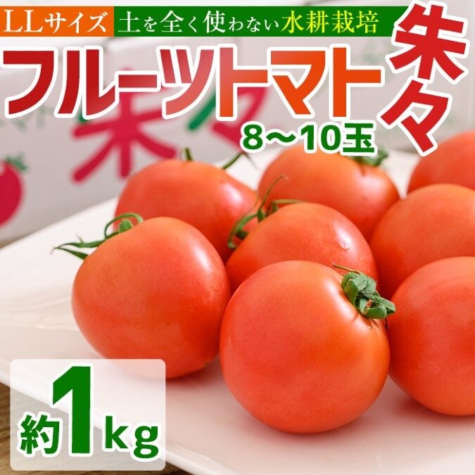 佐伯市サニープレイスファームの高糖度フルーツトマト朱々(LLサイズ)